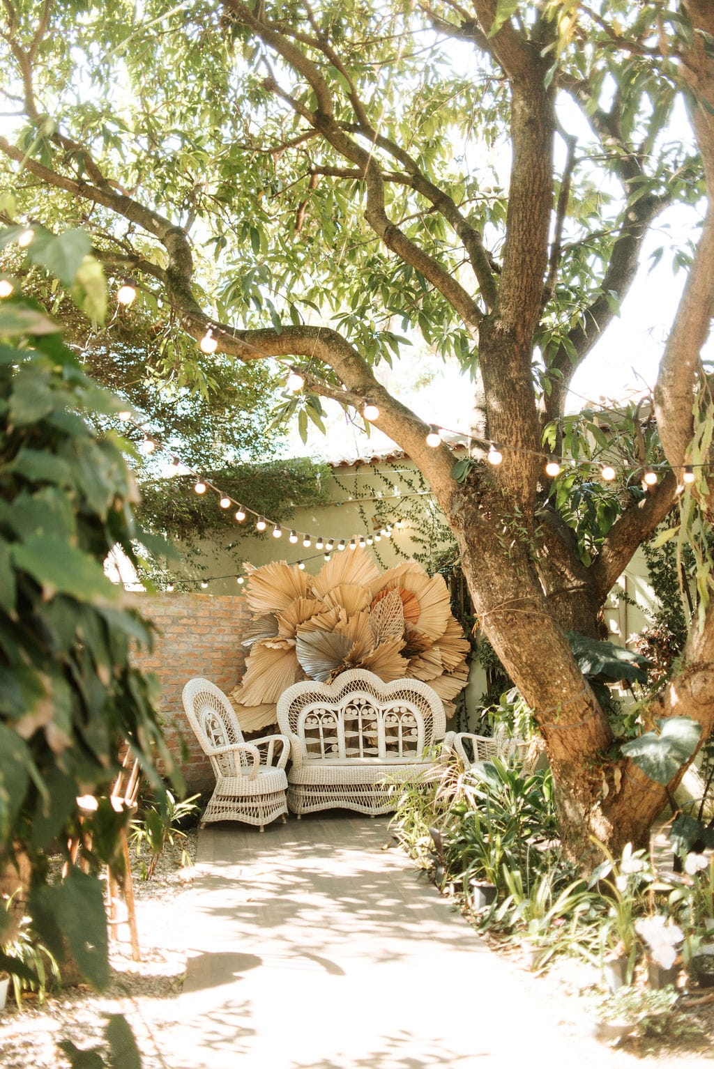 affce5e6-0ae1-43ba-97ca-f1fce3da3e66 (1)